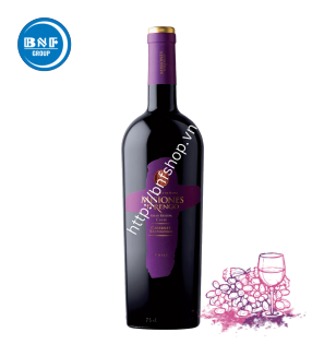 MISIONES Đ RENGO GRAN RESERVA CABERNET SAUVIGNON