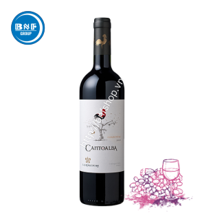 CANTOALBA CARMENERE