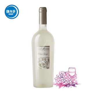 ULISSE PINOT GRIGIO