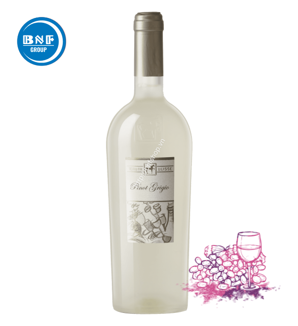  ULISSE PINOT GRIGIO